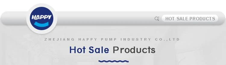 Deep Suction Silent Pressure 1.5 HP Water Submersible Electric Pump (H1100F)