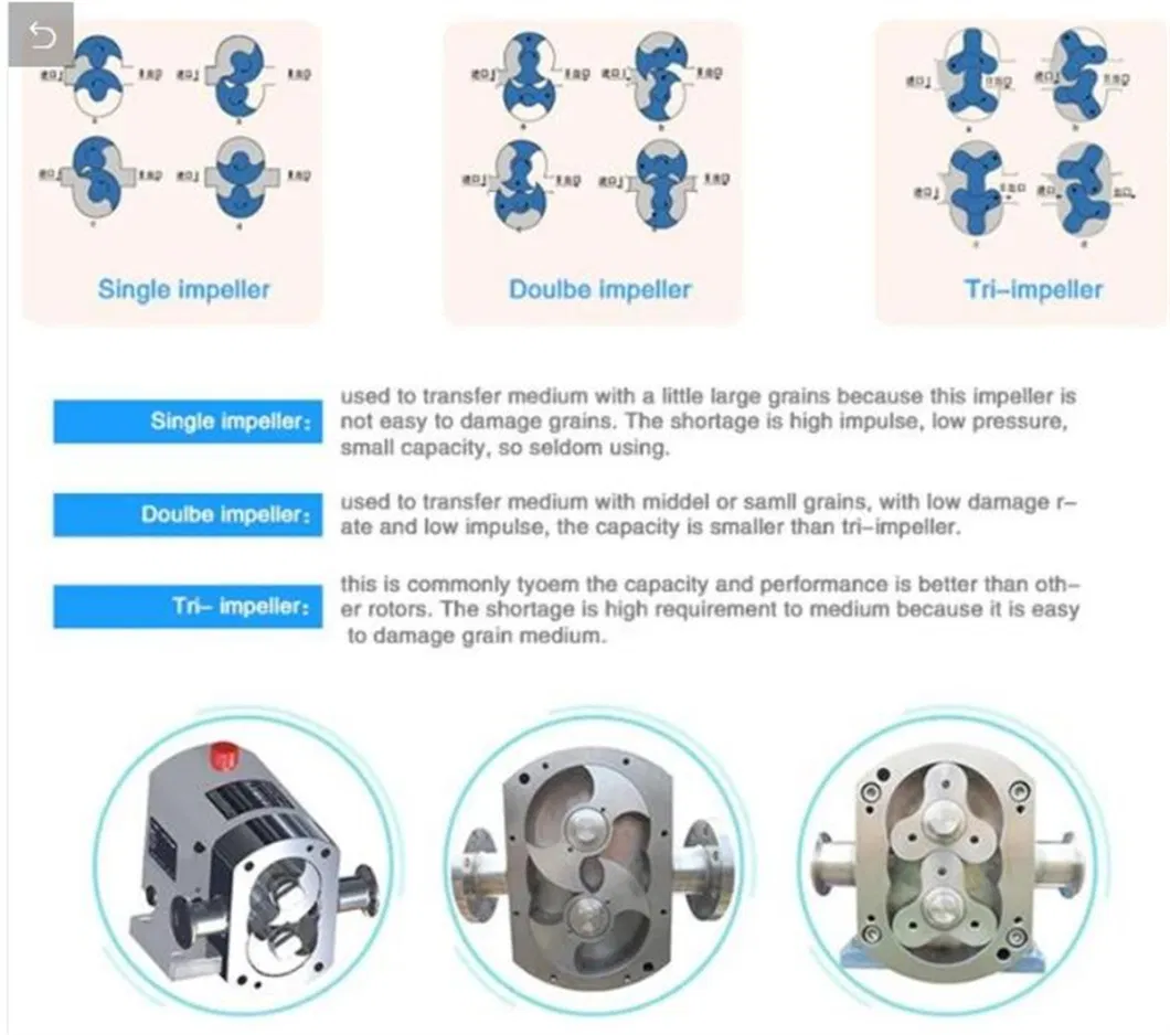 Horizontal or Vertical Stainless Steel Cast Iron External Gear Pump Rotary Rotor Oil Gear Pump
