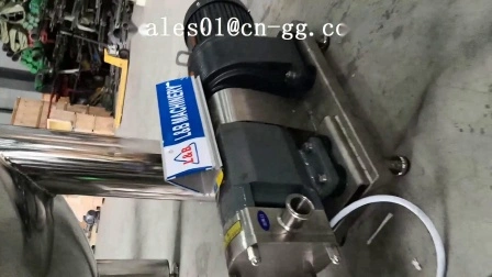 Máquina eléctrica de acero de la bomba del lóbulo rotatorio de la transferencia del aceite de oliva de la categoría alimenticia del engranaje móvil industrial